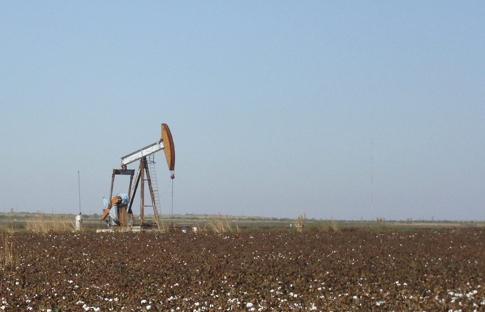 A pumping unit at the far edge of a cotton field under a pale blue sky